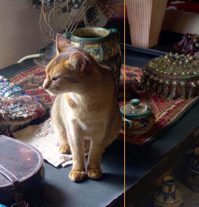 screen-shot-2017-02-01-at-4-09-38-pm