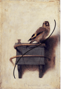 The line of beauty in "The Goldfinch".