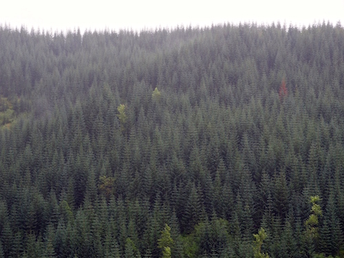 ©Mike O’Brien 2015